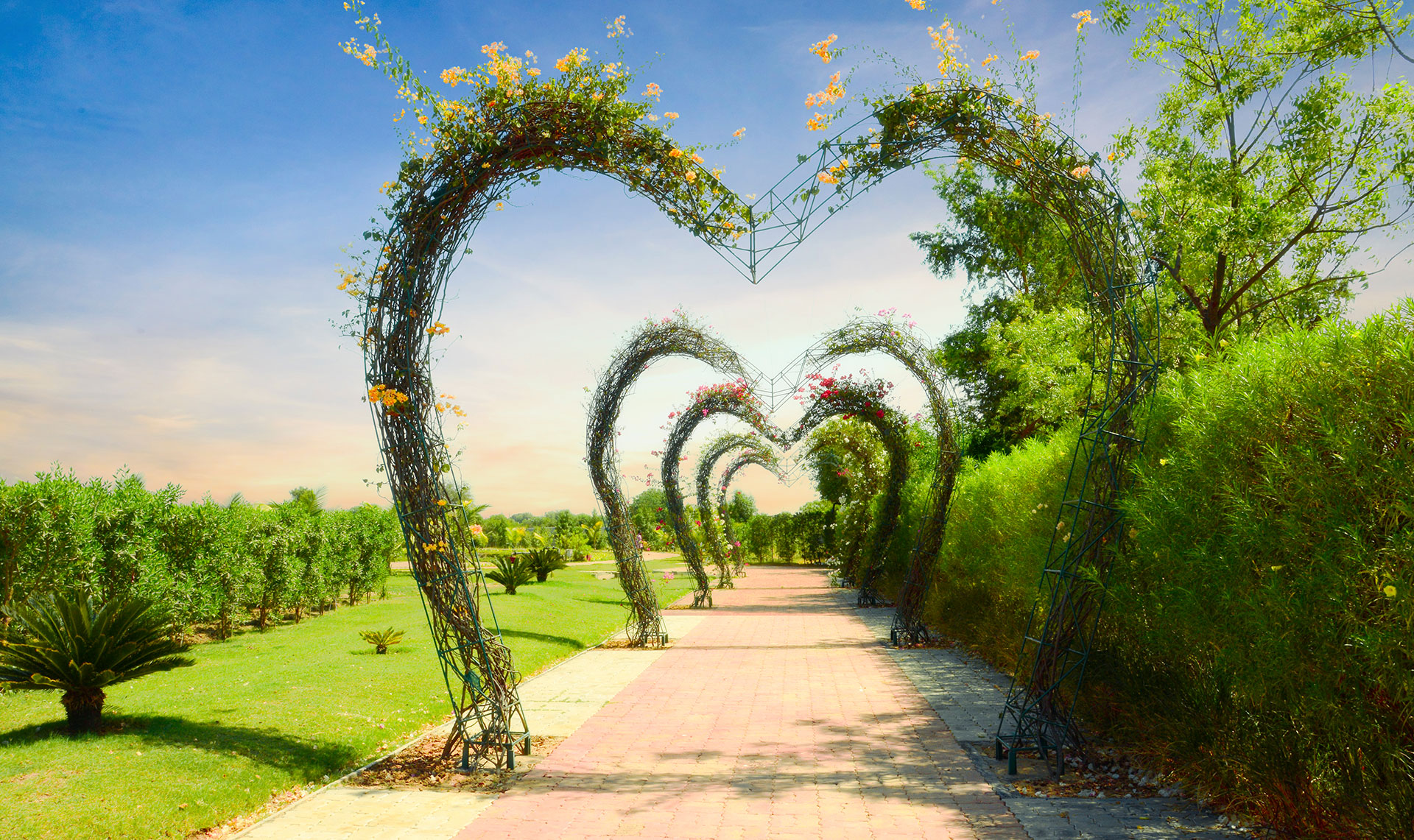 ozone garden area
