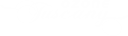 header_logo